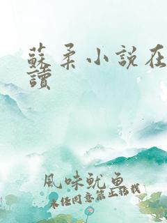 苏柔小说在线阅读