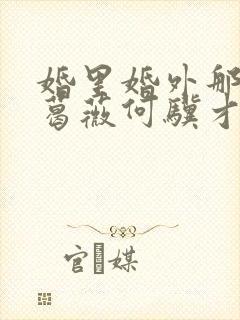 婚里婚外那些事葛薇何骥才