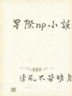 星际np小说