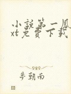 小说第一凤女txt免费下载