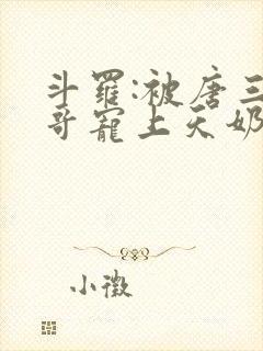 斗罗:被唐三哥哥宠上天奶瓶巨