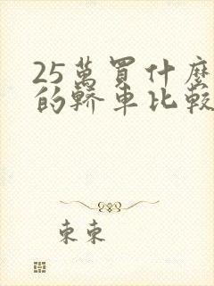 25万买什么样的轿车比较好?