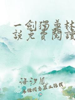 一剑独尊林风小说免费阅读