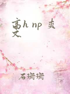 高h np 爽文