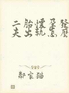 二胎怀孕发现丈夫出轨怎么办