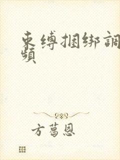 束缚捆绑调教视频