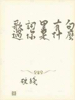 歌词里有句我爱过你是什么歌