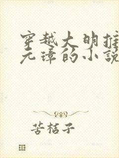 穿越大明推翻朱元璋的小说