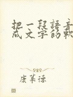 把一段语音转换成文字的软件