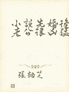 小说先婚后爱:老公很凶猛免费阅读