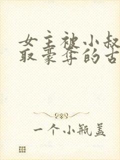 女主被小叔子强取豪夺的古言