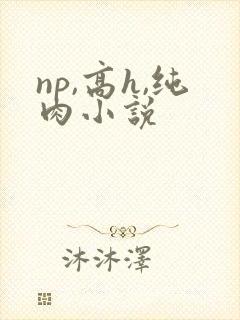 np,高h,纯肉小说