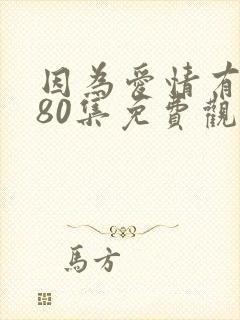 因为爱情有多美80集免费观看