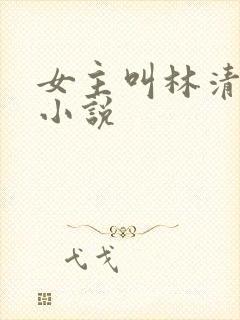 女主叫林清禾的小说