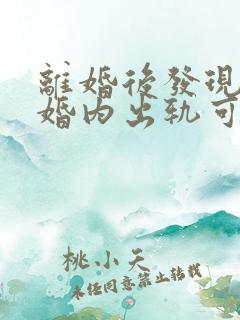 离婚后发现老公婚内出轨可以起诉么