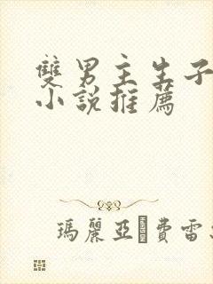 双男主生子甜文小说推荐