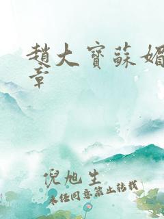 赵大宝苏媚第6章