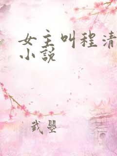 女主叫程清欢的小说