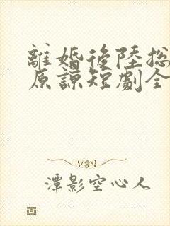 离婚后陆总跪求原谅短剧全集免费