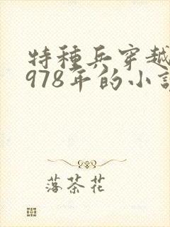 特种兵穿越回1978年的小说