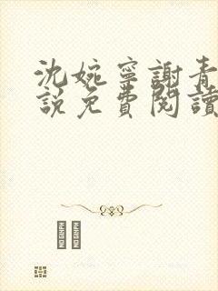 沈婉宁谢青晏小说免费阅读最新章节