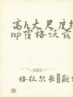 高h大尺度纯肉np霍格沃兹