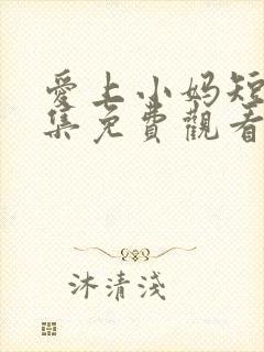 爱上小妈短剧全集免费观看高清