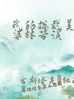 我的总裁美女老婆林若溪