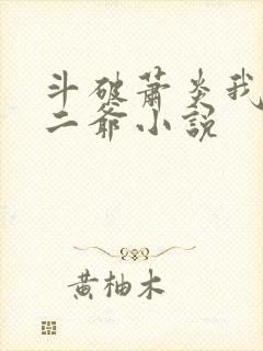 斗破萧炎我是你二爷小说