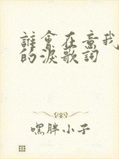 谁会在意我流下的泪歌词