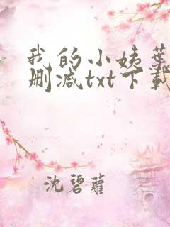 我的小姨叶凡无删减txt下载