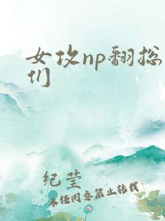 女攻np翻总裁们