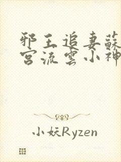 邪王追妻苏落南宫流云小神龙