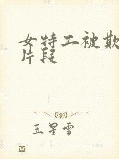 女特工被欺负的片段