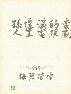 孙俪演的蛮好的人生电视剧免费观看