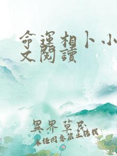 命运相卜小说全文阅读