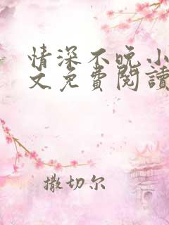 情深不晚小说全文免费阅读