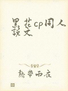 黑花cp同人小说文