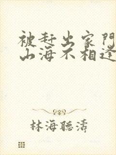 被赶出家门后,山海不相逢第二部