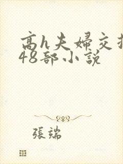 高h夫妇交换第48部小说