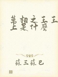 万相之王王境之上是什么