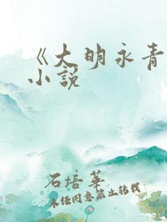 《大明永青侯》小说