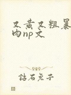 又黄又粗暴的纯肉np文