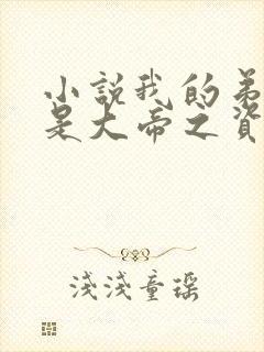 小说我的弟子全是大帝之资