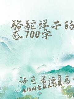 骆驼祥子的读后感700字
