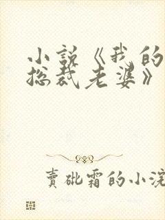 小说《我的冰山总裁老婆》