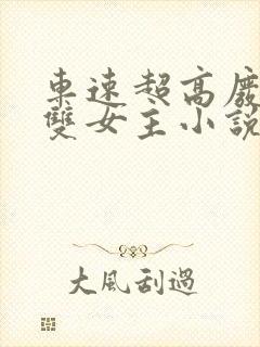 车速超高废文的双女主小说偏执