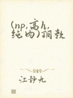 (np,高h,纯肉)调教