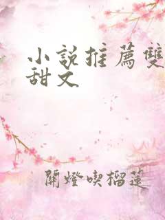 小说推荐双男主甜文