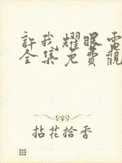 许我耀眼电视剧全集免费观看26集